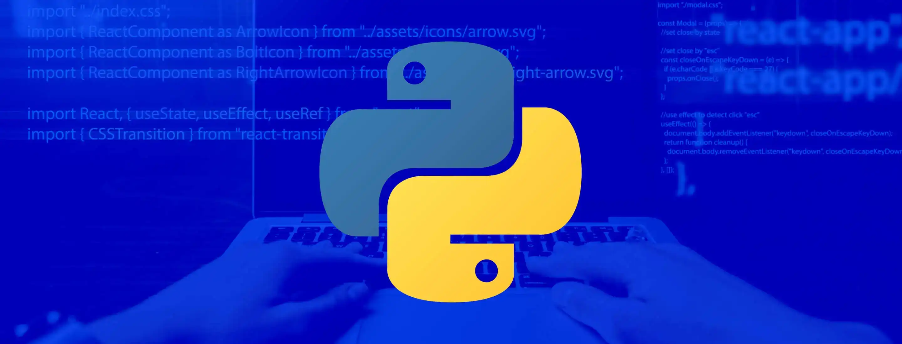 Strategies For Cost-Efficiency In Python Development Outsourcing