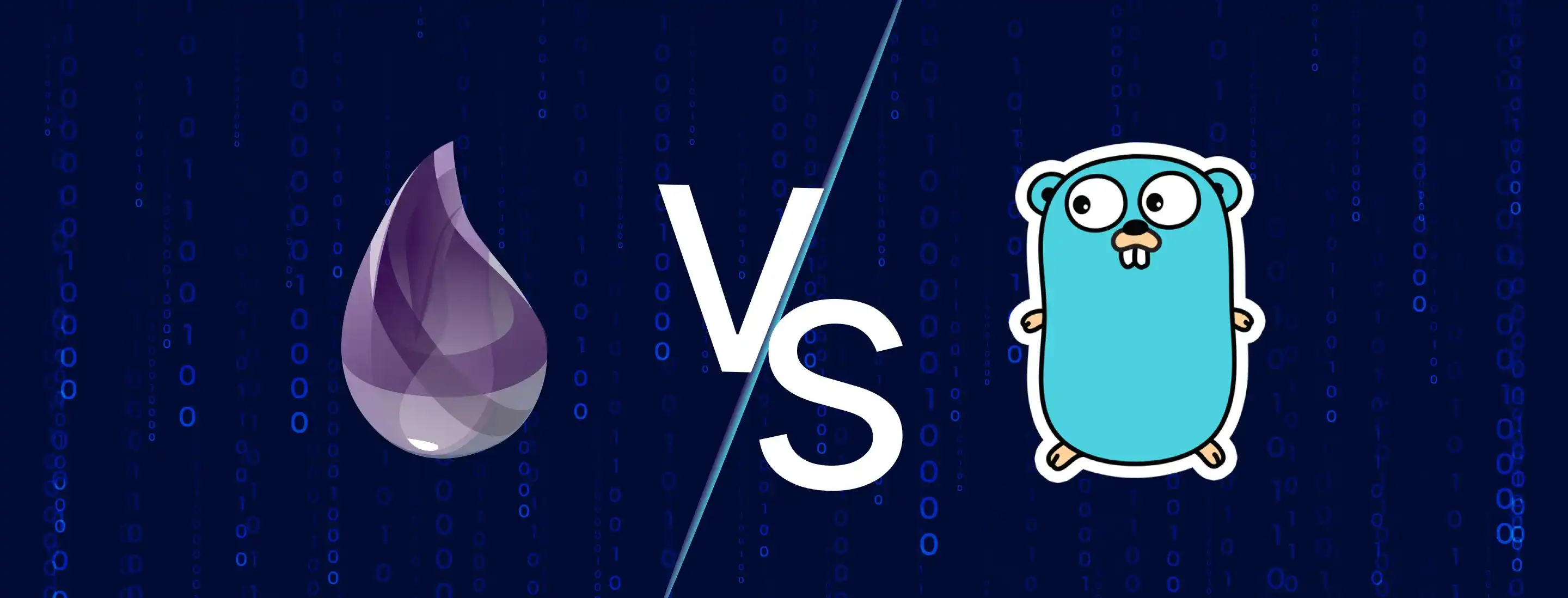 Elixir Vs Golang: See What Suits Your Project Best